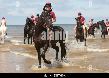 HORSES AND SOLDIERS OF THE HOUSEHOLD CAVALRY (LIFEGUARDS)  IN THE SEA  AT HOLKHAM BEACH ON THE NORTH NORFOLK COAST Stock Photo