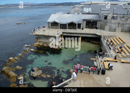Monterey Bay Aquarium Stock Photo
