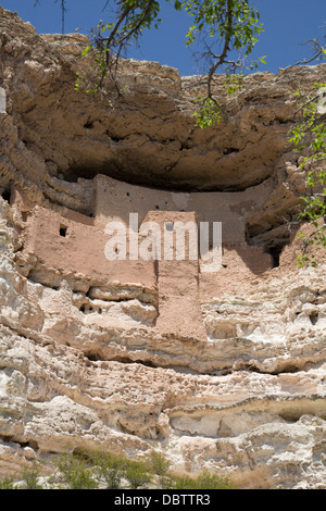Cliff dwelling of Southern Sinagua farmers, built in the early 1100s CE, Montezuma Castle National Monument, Arizona, USA Stock Photo