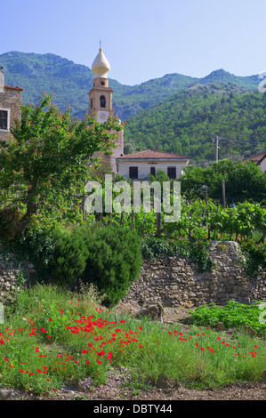 Poppies grow before the village church in Vesallo, Liguria, Italy Stock Photo