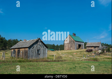 Old farm, Black Hills, South Dakota, United States of America, North America Stock Photo