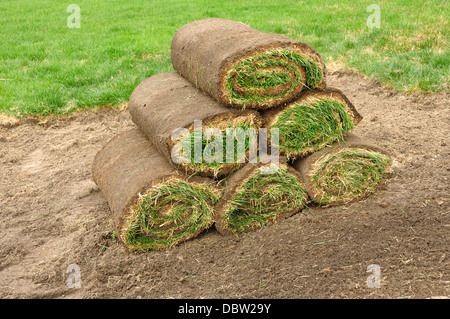 New grass lawn turf in rolls Stock Photo