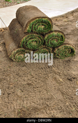 Lawn grass turf in rolls before laying new lawn Stock Photo