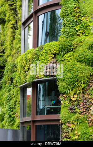 Vertical garden, Musée du quai Branly, Paris, France. Design: Patrick Blanc Stock Photo