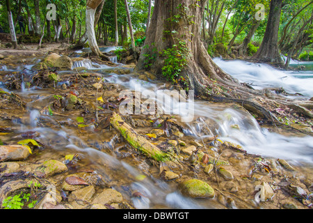 Picture taken in San Luis Potosi, Mexico Stock Photo