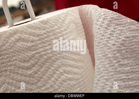 Roll of paper towels Stock Photo