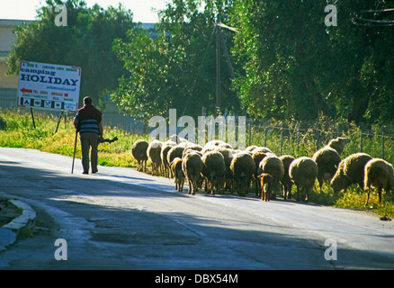 Italian shepherd near Rodi Garganico, Puglia (Apulia) Stock Photo