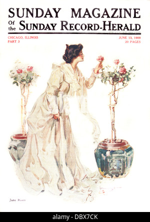 1900s WOMAN PICKING ROSE FROM TOPIARY ROSE BUSH WEARING LONG DRESS COVER OF SUNDAY MAGAZINE JUNE 1909 Stock Photo