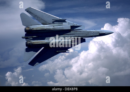 USN F-14 TOMCAT FLYING OVER CLOUDS Stock Photo