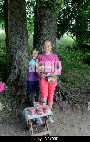 Selling of strawberries in Trakai, Lithuania, Europe Stock Photo