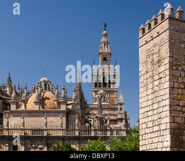 The 'Giralda', a part of the cathedral, a tower of the walls of the Real Alcazar, Seville, Spain. Stock Photo