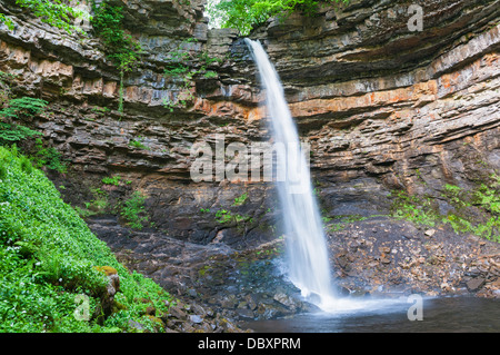 Great Britain, England, North Yorkshire, Hardraw Force, England's highest single drop waterfall, approx. 100ft Stock Photo