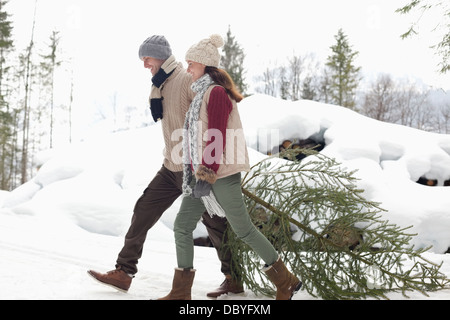 Happy couple dragging fresh Christmas tree in snow Stock Photo