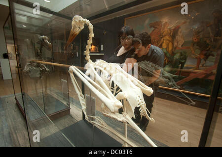 London UK. 6th August 2013. A skeleton of a crane bird which will go under the hammer at Christies Auction house. The piece makes up part of a weird and unusual collection of items for sale on September  Credit:  amer ghazzal/Alamy Live News Stock Photo