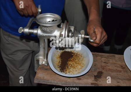 Freshly roasted coffee beans being ground in the coffee growing regions of Santa Teresa, Cuzco, Peru Stock Photo
