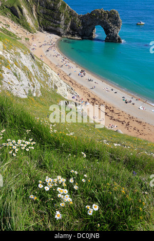 Durdle Door natural limestone arch on the Jurassic Coast near West Lulworth in Dorset, Englang uk gb