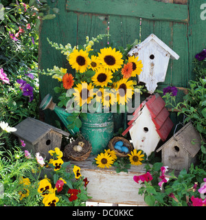 STILL LIFE WITH FLOWER ARRANGEMENT IN WATERING CAN WITH BIRD HOUSES AND NESTS IN GARDEN SETTING Stock Photo