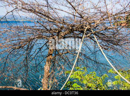 Picture taken in Chiapas, Mexico Stock Photo