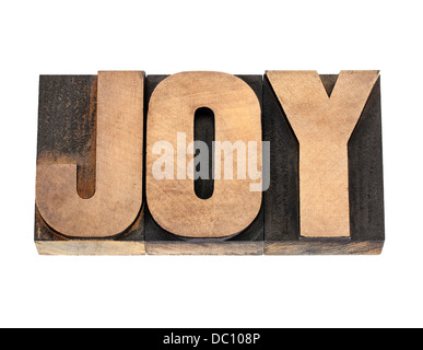 joy word - isolated text in vintage letterpress wood type Stock Photo