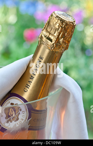 rosé Champagne bottle in crystal wine cooler in alfresco summer event situation Stock Photo