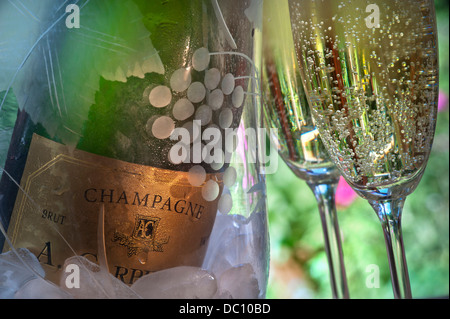 Two freshly poured glasses of Champagne with bottle on ice chilling in engraved crystal glass wine cooler in alfresco situation Stock Photo