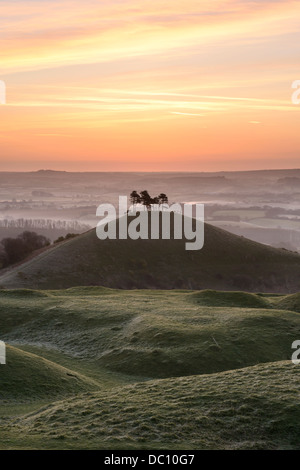 Colmer's Hill, Dorset, at sunrise on a misty early morning in early spring. Stock Photo