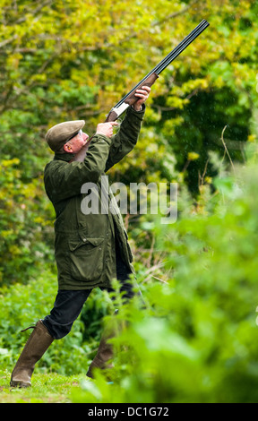 Man shooting at a simulated game shooting clay shoot wearing tweed cap, ear and eye protection whilst stood in a woodland area Stock Photo