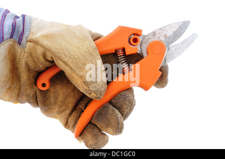 Secateurs or pruning shears on a white background Stock Photo