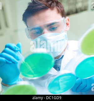 Young clinician working with liquids in laboratory Stock Photo