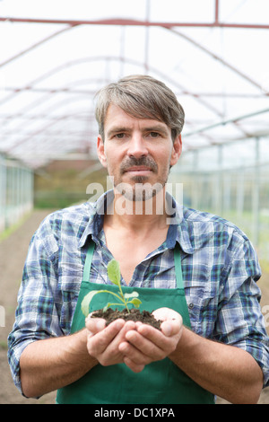 Portrait of organic farmer holding seedling in polytunnel Stock Photo