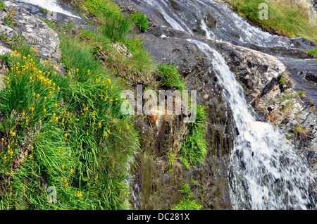 Levers Water Beck and waterfalls in Copper Mines Valley above Coniston in the  Lake District National Park Stock Photo