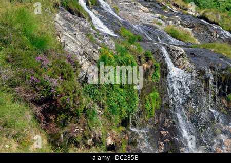 Levers Water Beck and waterfalls in Copper Mines Valley above Coniston in the  Lake District National Park Stock Photo