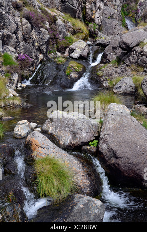 Levers Water Beck and waterfalls in Copper Mines Valley above Coniston in the  Lake District National Park Stock Photo