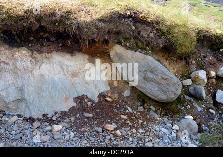 Unconsolidated glacial debris in old lateral moraine deposits in the