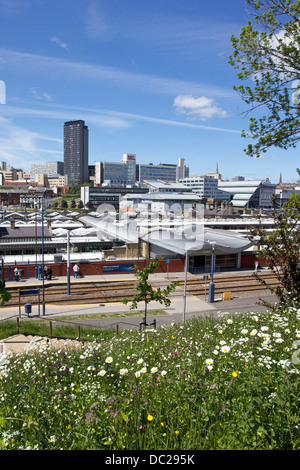 Sheffield City Centre Panorama Stock Photo