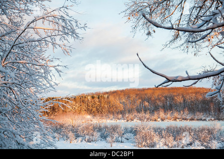 Wintry landscape scene Stock Photo