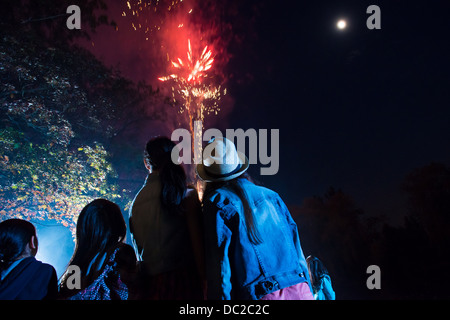 People watching fireworks display Stock Photo