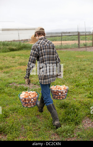 Boy carrying two baskets of eggs Stock Photo