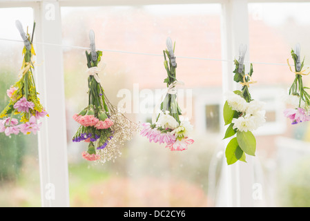 Flowers hung upside down on clothes line Stock Photo