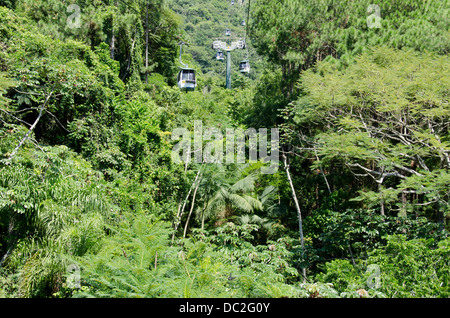 Brazil, state of Santa Catarina, Camboriu. View of the tropical rainforest from Parque Unipraias and the Barra Sul Cable Car. Stock Photo