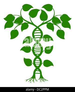 Green tree illustration with the trees or vines forming a DNA double helix Stock Photo