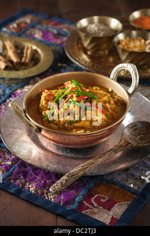 Chicken Dhansak Spicy chicken and lentil curry India Food Stock Photo