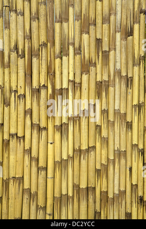Abstract background of vertical, yellow bamboo strips. Stock Photo