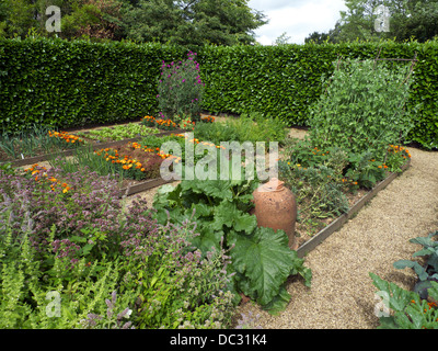 Raised bed plots, kitchen garden, with companion plants to deter insect pests, Geoff Hamilton's Barnsdale Gardens, Rutland, UK. Stock Photo
