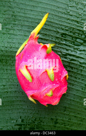 Pitaya or Dragon fruit Stock Photo