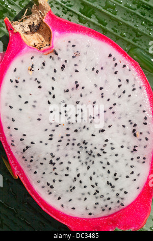 Dragon Fruit or Pitaya Stock Photo