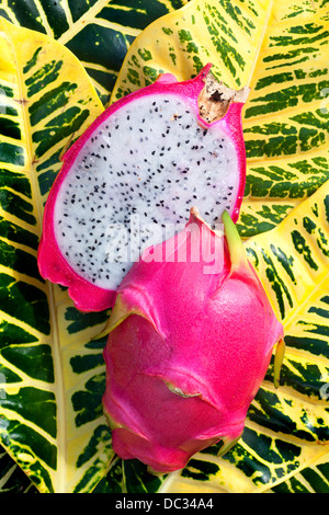 Dragon Fruit or Pitaya Stock Photo