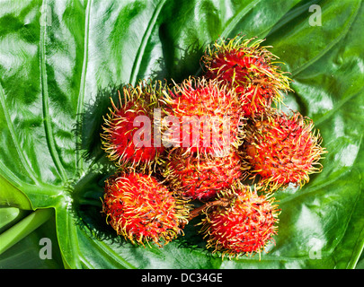 Exotic Rambutan fruit. Stock Photo