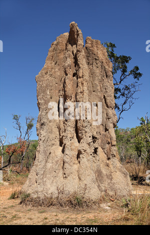 Massive cathedral termite mound, Kakadu National Park, Northern Territory, Australia Stock Photo