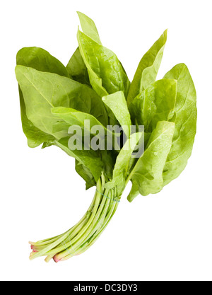 Spinach leaves isolated on white background Stock Photo - Alamy